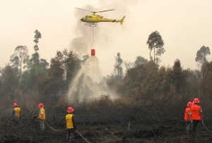 Rp20 Triliun, Kerugian Akibat Kebakaran Hutan Riau